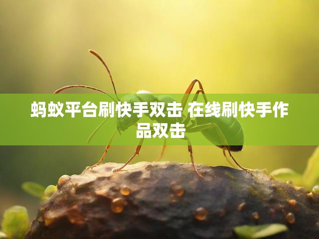 蚂蚁平台刷快手双击 在线刷快手作品双击