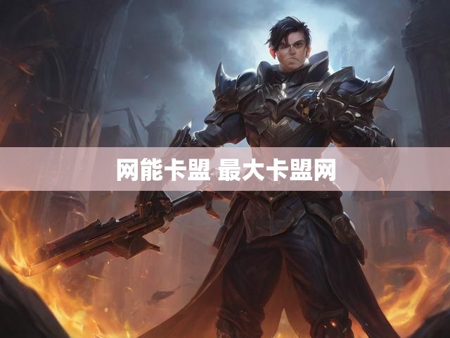 网能卡盟 最大卡盟网