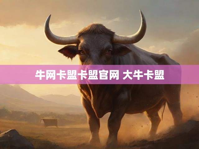 牛网卡盟卡盟官网 大牛卡盟