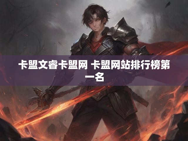 卡盟文睿卡盟网 卡盟网站排行榜第一名