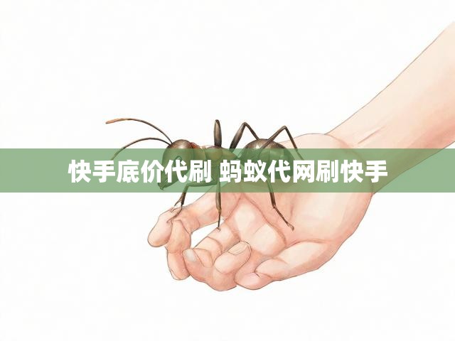 快手底价代刷 蚂蚁代网刷快手