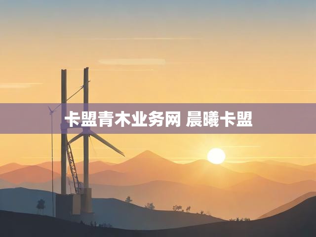 卡盟青木业务网 晨曦卡盟