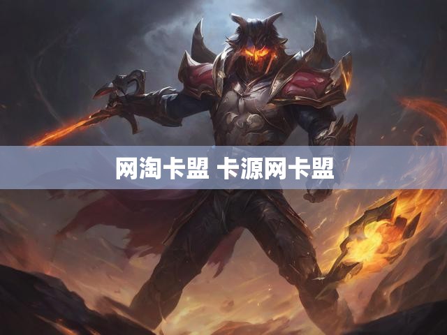 网淘卡盟 卡源网卡盟