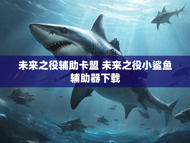 未来之役辅助卡盟 未来之役小鲨鱼辅助器下载