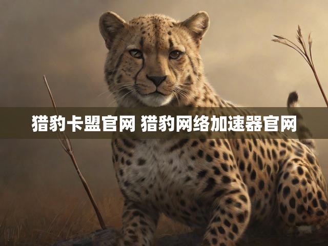 猎豹卡盟官网 猎豹网络加速器官网