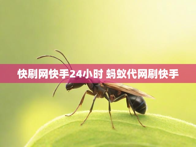 快刷网快手24小时 蚂蚁代网刷快手