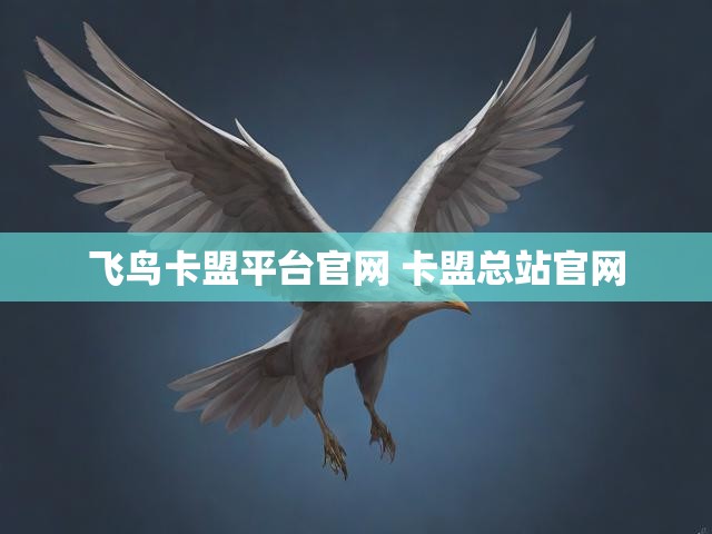 飞鸟卡盟平台官网 卡盟总站官网