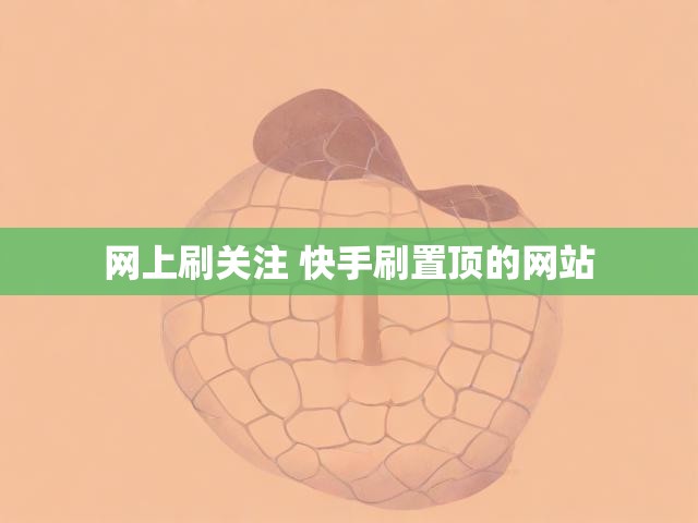 网上刷关注 快手刷置顶的网站