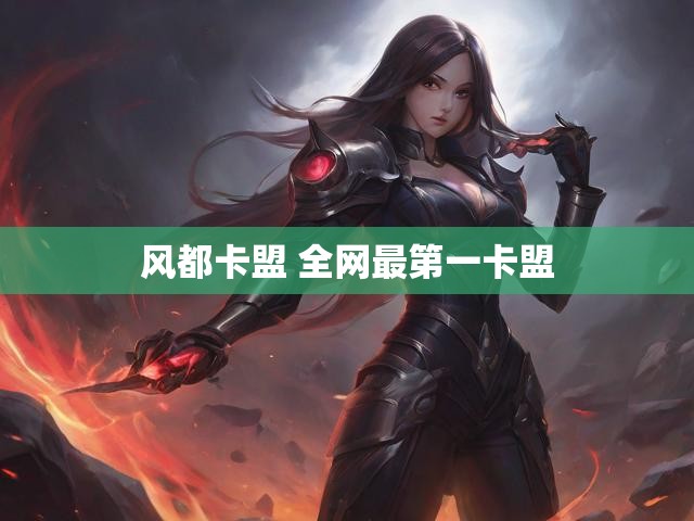 风都卡盟 全网最第一卡盟