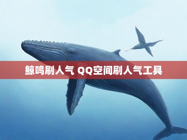 鲸鸣刷人气 QQ空间刷人气工具