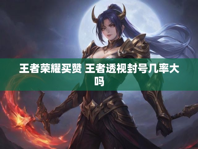王者荣耀买赞 王者透视封号几率大吗