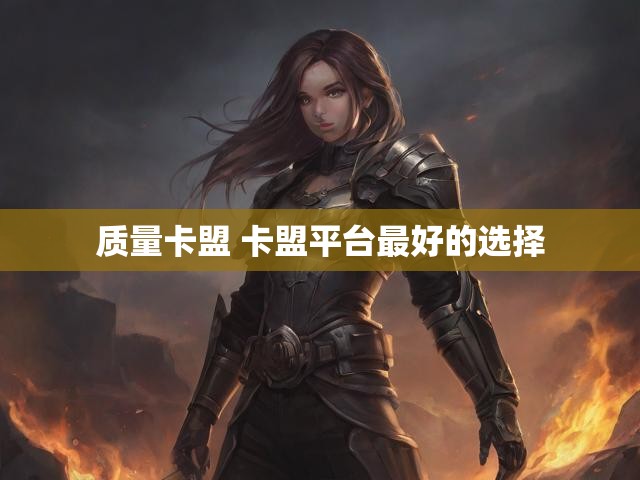 质量卡盟 卡盟平台最好的选择