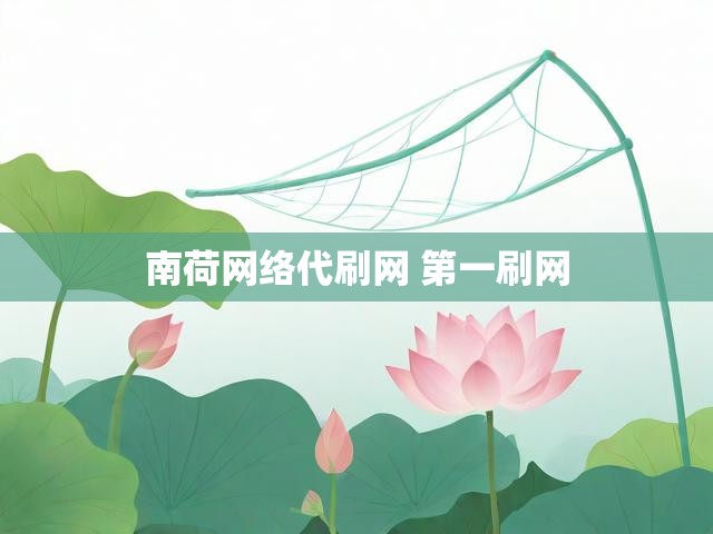 南荷网络代刷网 第一刷网