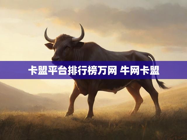 卡盟平台排行榜万网 牛网卡盟