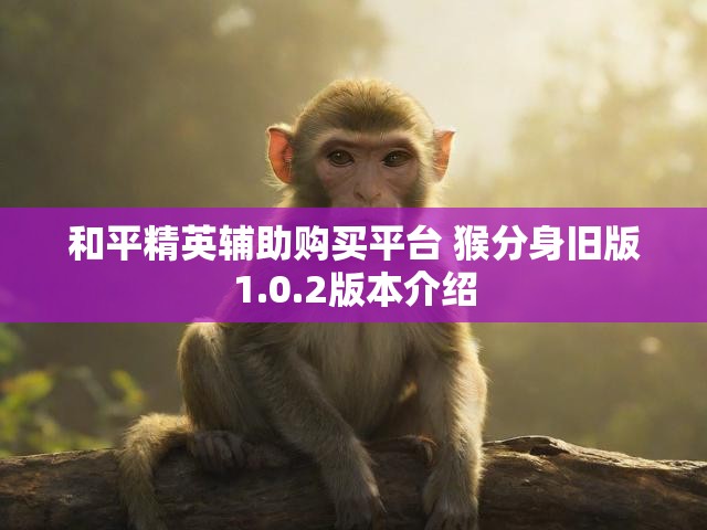 和平精英辅助购买平台 猴分身旧版1.0.2版本介绍