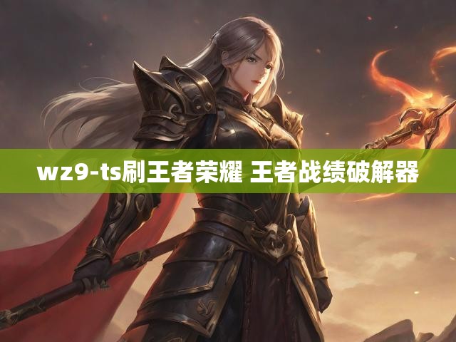 wz9-ts刷王者荣耀 王者战绩破解器