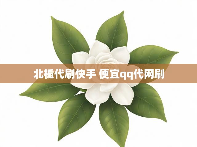 北栀代刷快手 便宜qq代网刷