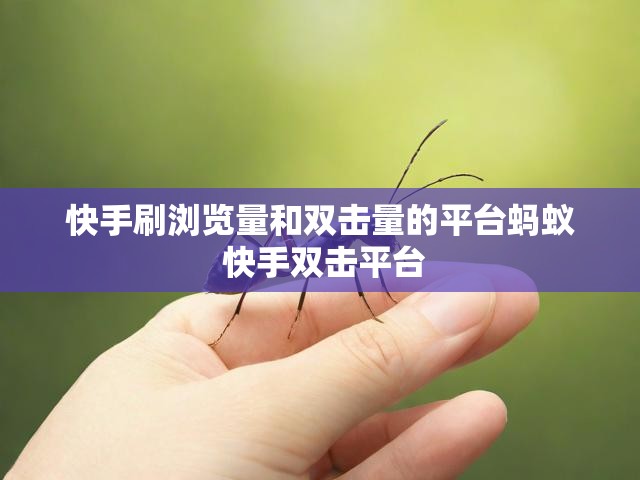 快手刷浏览量和双击量的平台蚂蚁 快手双击平台