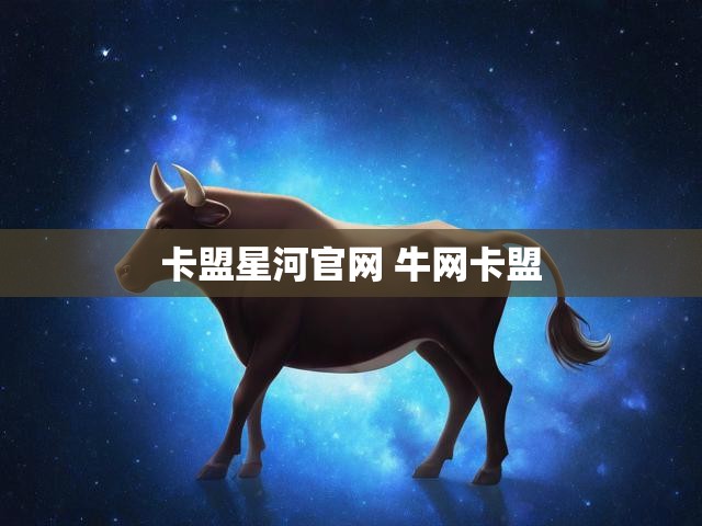 卡盟星河官网 牛网卡盟