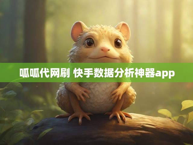 呱呱代网刷 快手数据分析神器app