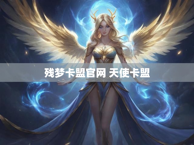 残梦卡盟官网 天使卡盟