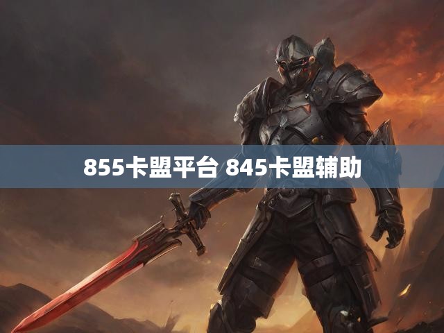 855卡盟平台 845卡盟辅助