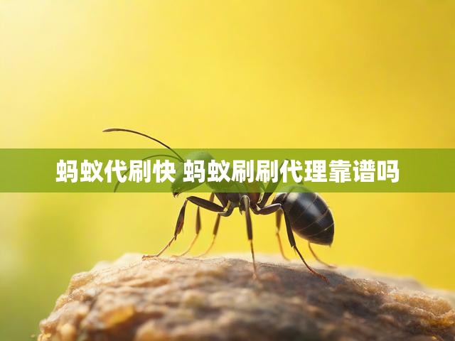 蚂蚁代刷快 蚂蚁刷刷代理靠谱吗