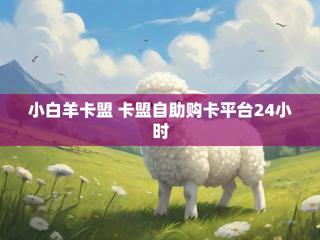 小白羊卡盟 卡盟自助购卡平台24小时