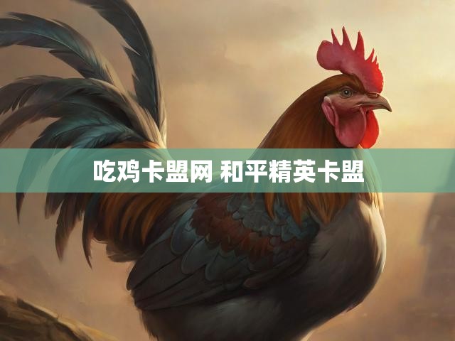 吃鸡卡盟网 和平精英卡盟