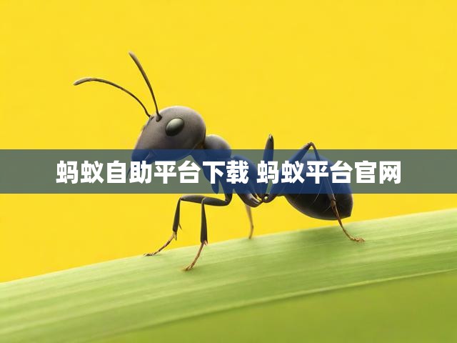 蚂蚁自助平台下载 蚂蚁平台官网