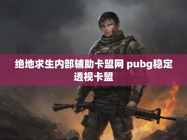 绝地求生内部辅助卡盟网 pubg稳定透视卡盟