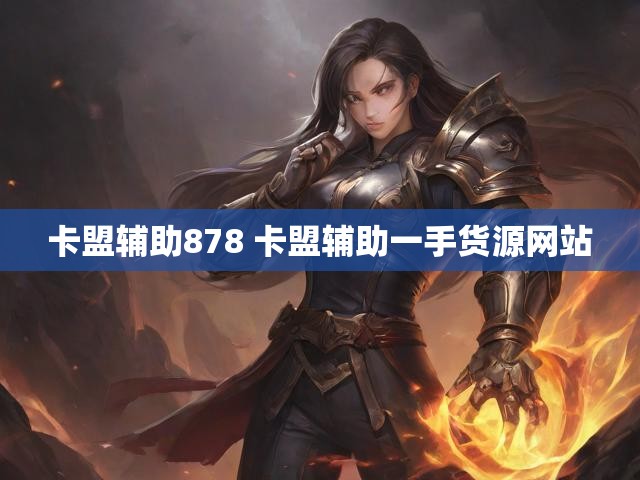 卡盟辅助878 卡盟辅助一手货源网站