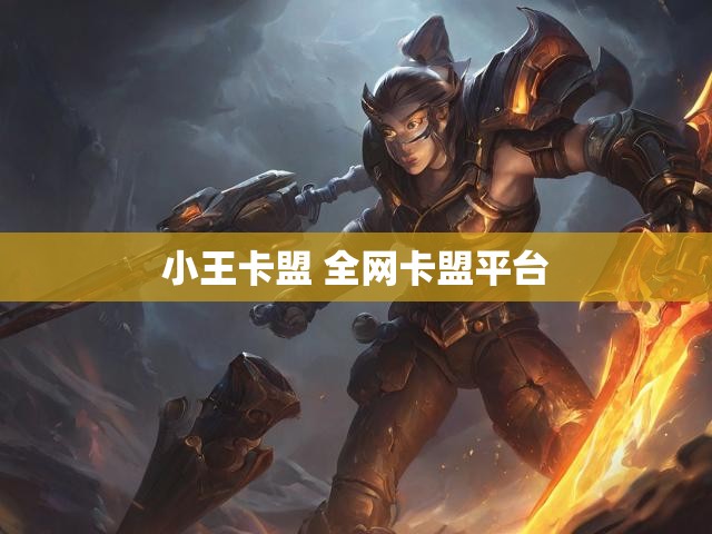 小王卡盟 全网卡盟平台