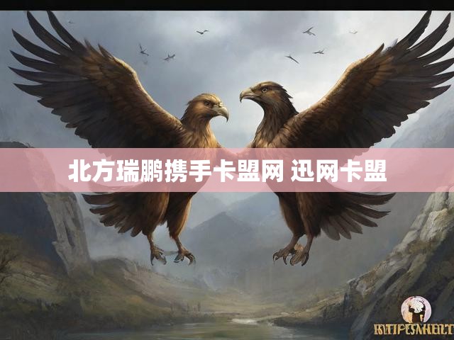 北方瑞鹏携手卡盟网 迅网卡盟