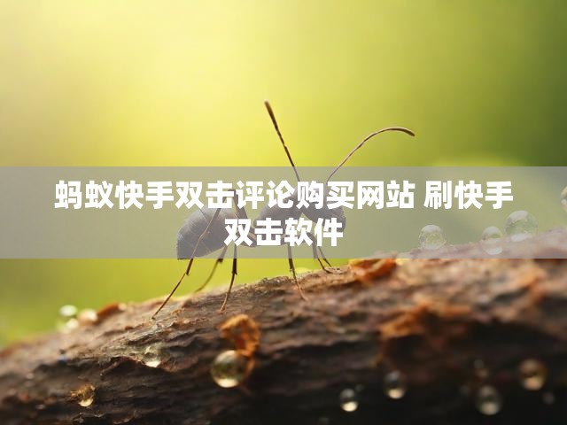 蚂蚁快手双击评论购买网站 刷快手双击软件