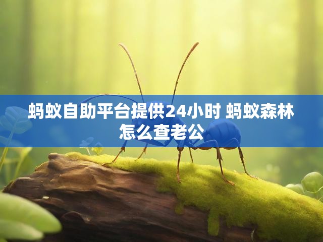 蚂蚁自助平台提供24小时 蚂蚁森林怎么查老公