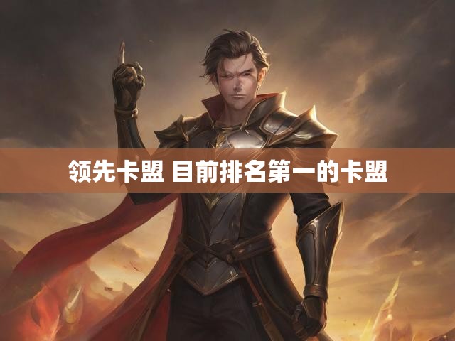 领先卡盟 目前排名第一的卡盟
