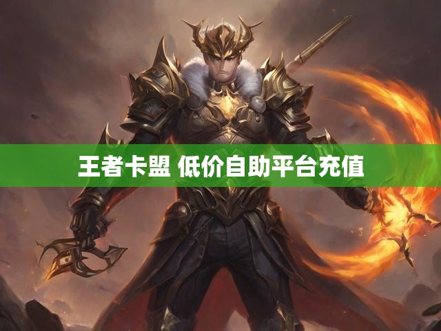 王者卡盟 低价自助平台充值