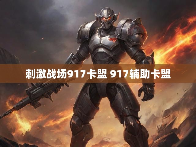 刺激战场917卡盟 917辅助卡盟
