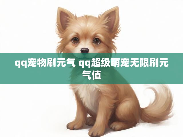 qq宠物刷元气 qq超级萌宠无限刷元气值