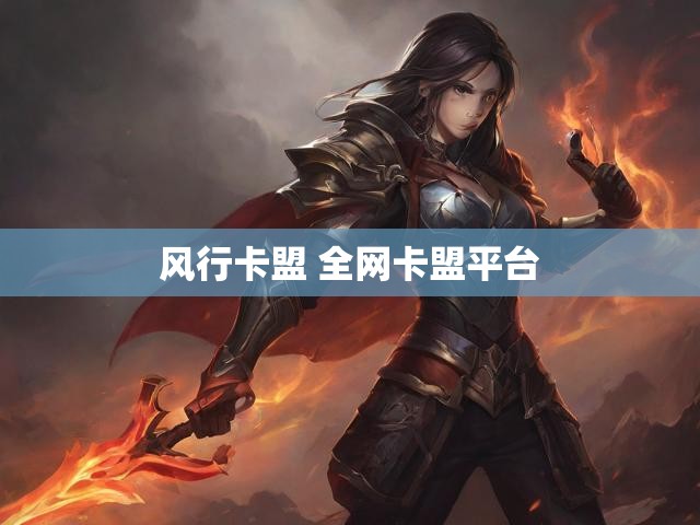风行卡盟 全网卡盟平台