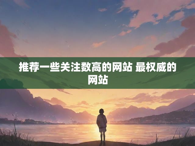 推荐一些关注数高的网站 最权威的网站