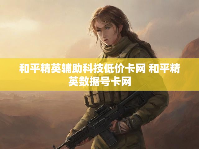 和平精英辅助科技低价卡网 和平精英数据号卡网