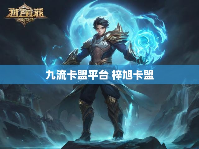 九流卡盟平台 梓旭卡盟