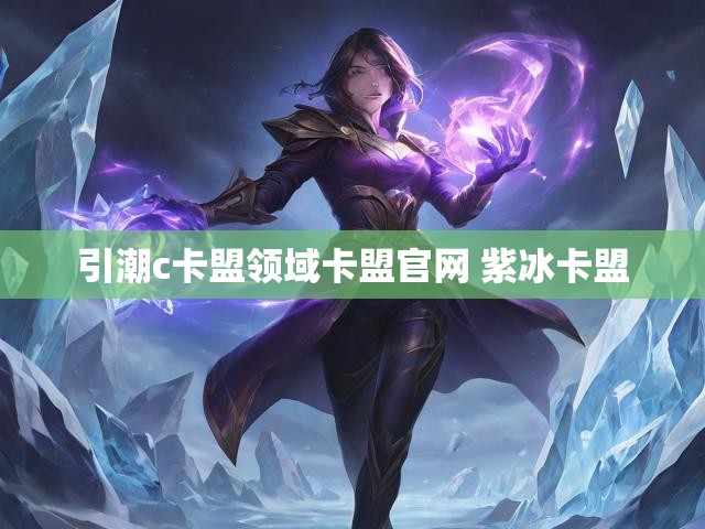 引潮c卡盟领域卡盟官网 紫冰卡盟