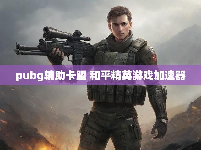 pubg辅助卡盟 和平精英游戏加速器
