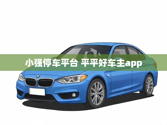 小强停车平台 平平好车主app