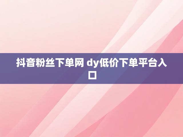 抖音粉丝下单网 dy低价下单平台入口