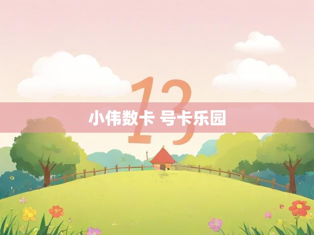小伟数卡 号卡乐园