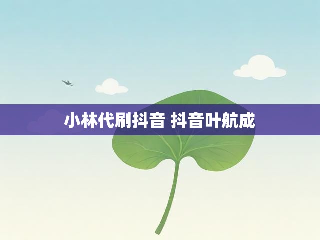 小林代刷抖音 抖音叶航成